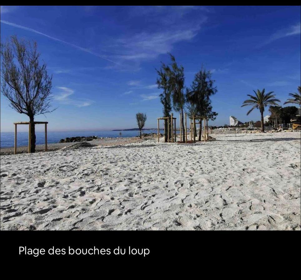 Apartamento Loft Marina Direct Plage Villeneuve-Loubet Exterior foto